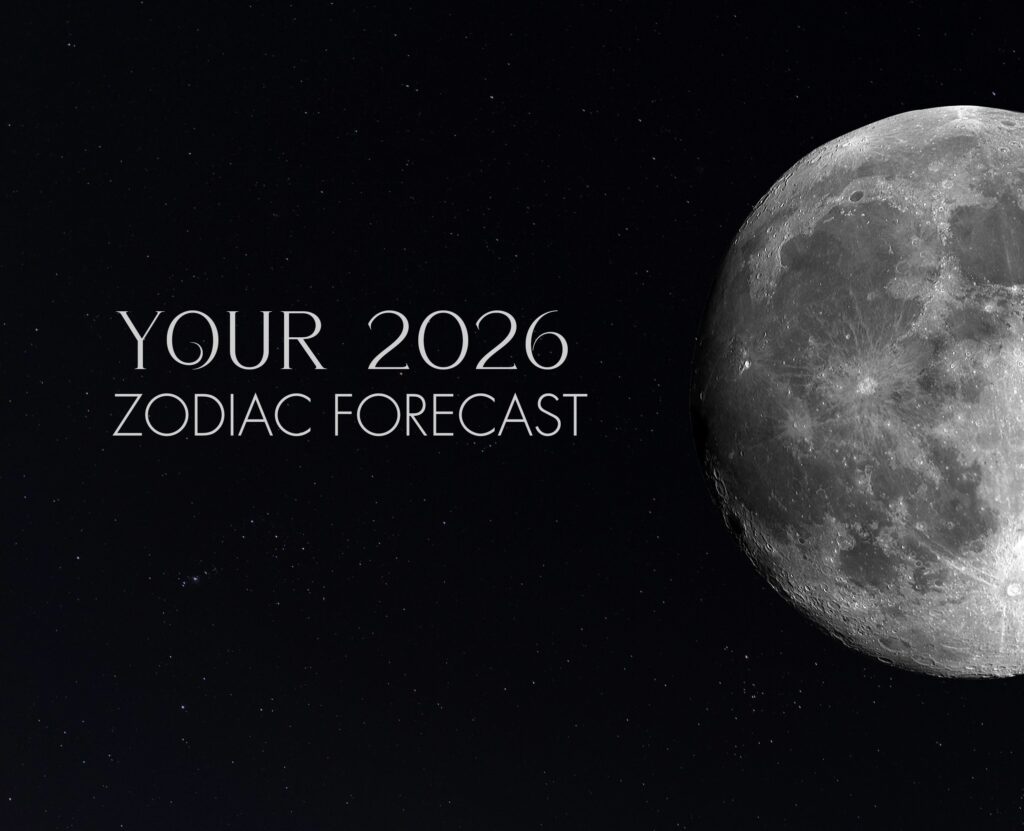 Your 2026 Zodiac Forecast: The Energy Each Sign Carries- and the kyū Bag Aligned with That Frequency